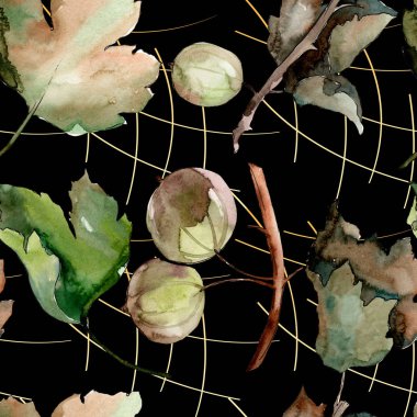 Bektaşi üzümü sağlıklı gıda. Suluboya arka plan illüstrasyon seti. Kesintisiz arka plan deseni.