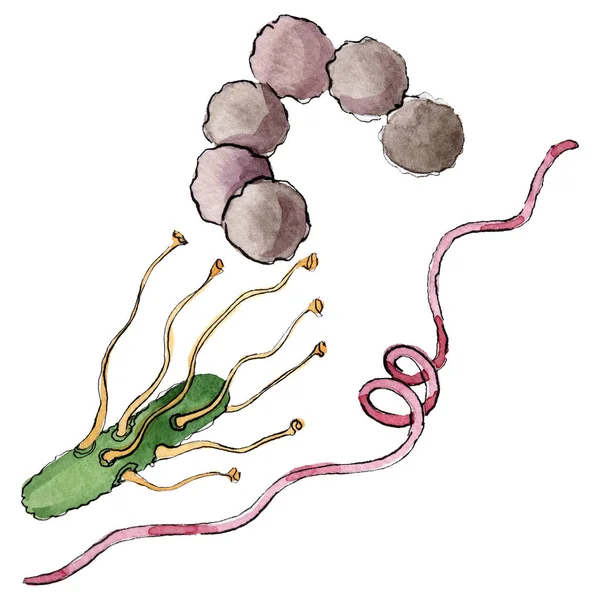 Microbe of kiem hand verdrinken illustratie. Aquarel achtergrond set. Geïsoleerd micro-organisme illustratie element. — Stockfoto