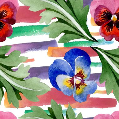 Viyola çiçek botanik çiçekleri ile süs. Suluboya arka plan illüstrasyon seti. Kesintisiz arka plan deseni.