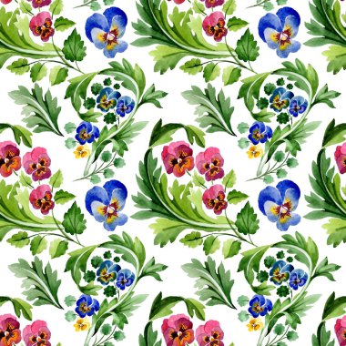 Viyola çiçek botanik çiçekleri ile süs. Suluboya arka plan illüstrasyon seti. Kesintisiz arka plan deseni.