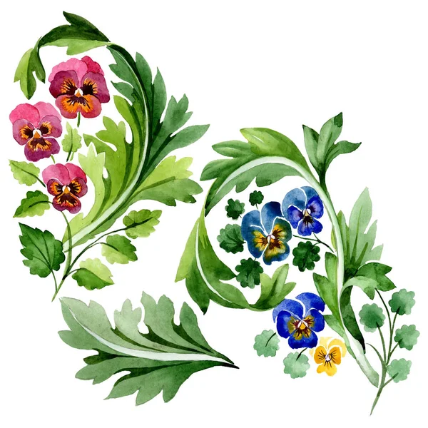 ヴィオラの花の植物の花と装飾。水彩画の背景セット。分離されたビオライラスト要素. — ストック写真