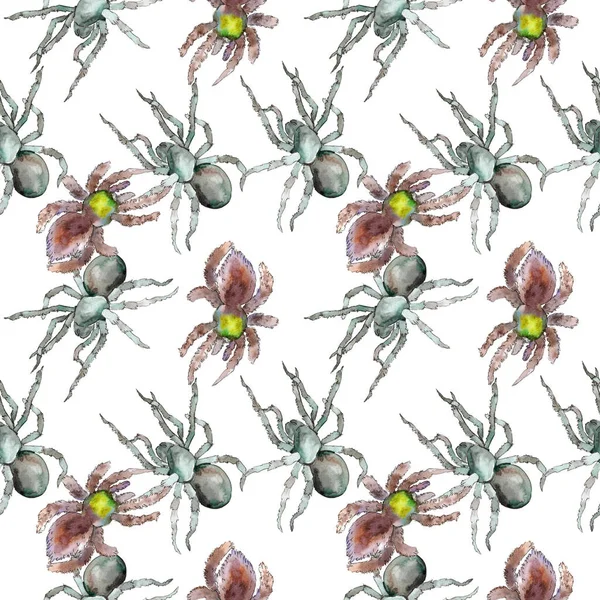 Exotic tarantula spider wild insect. Watercolor background illustration set. Seamless background pattern. — Stock Photo, Image