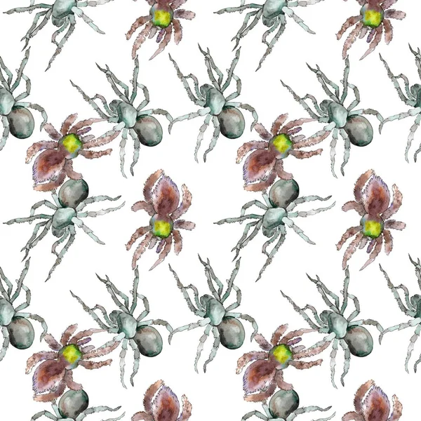 Aranha de tarântula exótica inseto selvagem. Conjunto de ilustração de fundo aquarela. Padrão de fundo sem costura . — Fotografia de Stock