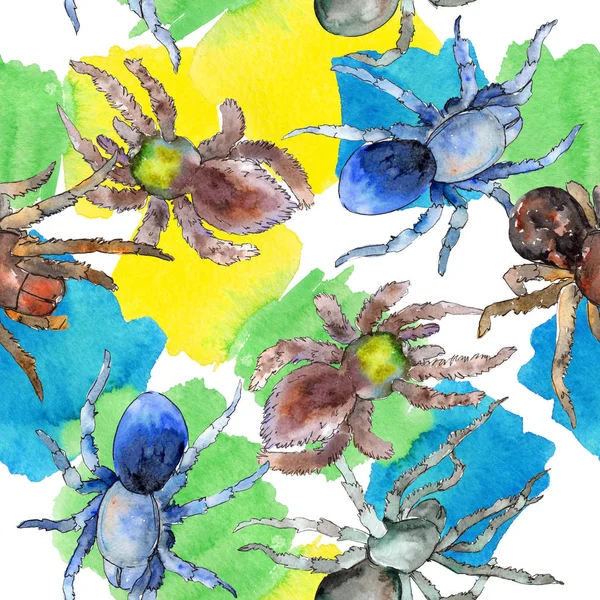 Aranha de tarântula exótica inseto selvagem. Conjunto de ilustração de fundo aquarela. Padrão de fundo sem costura . — Fotografia de Stock