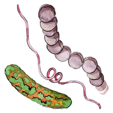 Mikrop veya mikrop el boğma illüstrasyon. Suluboya arka plan seti. İzole mikroorganizma illüstrasyon elemanı.