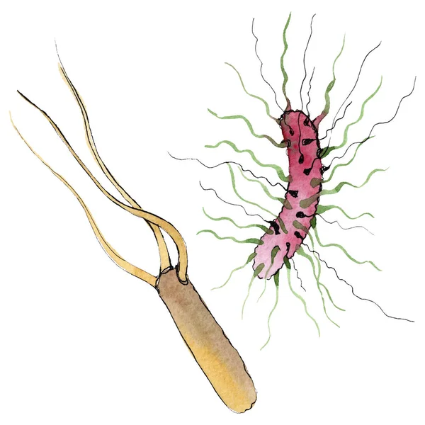 Микроб или микробная рука. Акварельный набор фона. Изолированный элемент иллюстрации микроорганизмов . — стоковое фото