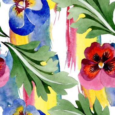 Viyola çiçek botanik çiçekleri ile süs. Suluboya arka plan illüstrasyon seti. Kesintisiz arka plan deseni.