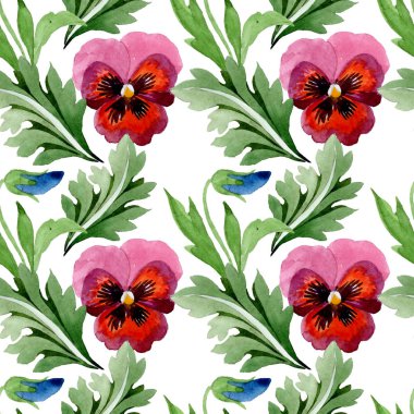 Viyola çiçek botanik çiçekleri ile süs. Suluboya arka plan illüstrasyon seti. Kesintisiz arka plan deseni.