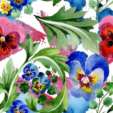 Viyola çiçek botanik çiçekleri ile süs. Suluboya arka plan illüstrasyon seti. Kesintisiz arka plan deseni.