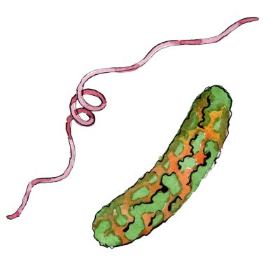 Mikrop veya mikrop el boğma illüstrasyon. Suluboya arka plan seti. İzole mikroorganizma illüstrasyon elemanı.