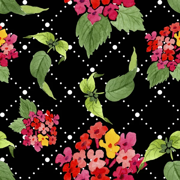Czerwone Lantana kwiatowe kwiaty botaniczne. Akwarela zestaw ilustracji tła. Płynny wzór tła. — Zdjęcie stockowe