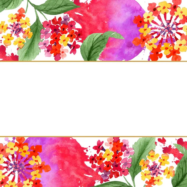 红色兰塔纳花卉植物花。水彩背景插图集。框架边框装饰广场. — 图库照片