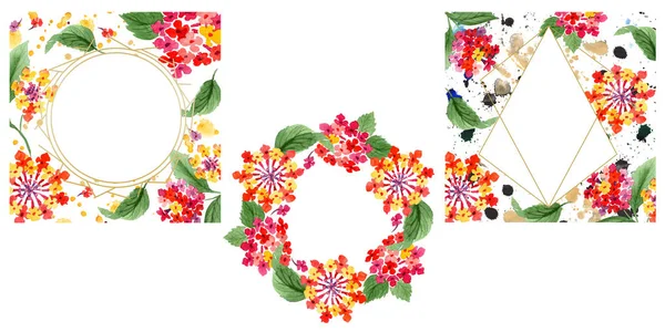 Flores botánicas de lantana roja. Conjunto de ilustración de fondo acuarela. Marco borde ornamento cuadrado . — Foto de Stock