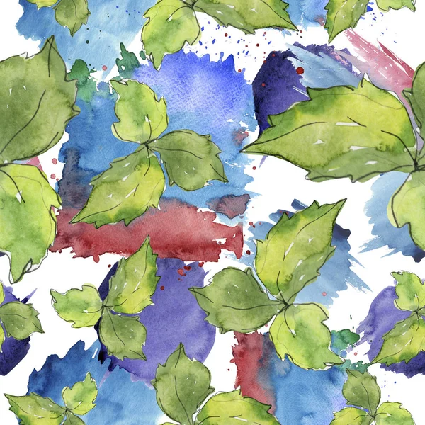 La albahaca verde deja alimentos frescos y saludables. Conjunto de ilustración de fondo acuarela. Patrón de fondo sin costuras . — Foto de Stock