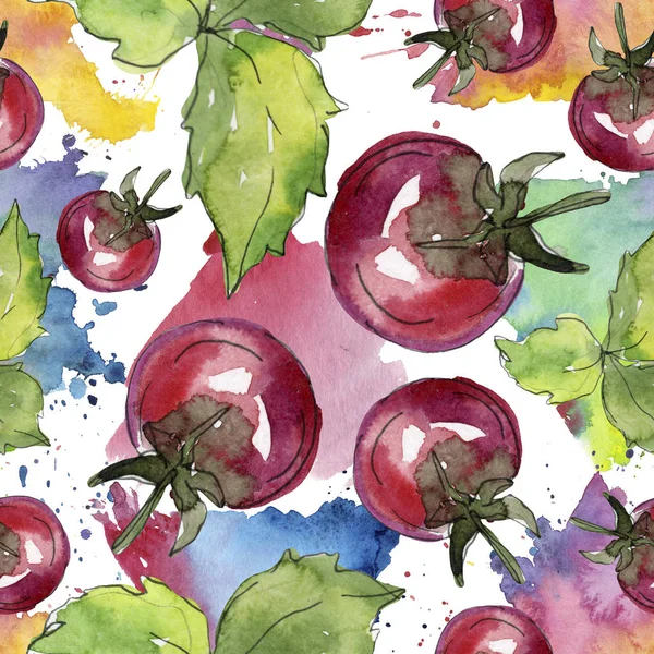 Domates taze sağlıklı gıda. Suluboya arka plan illüstrasyon seti. Kesintisiz arka plan deseni.