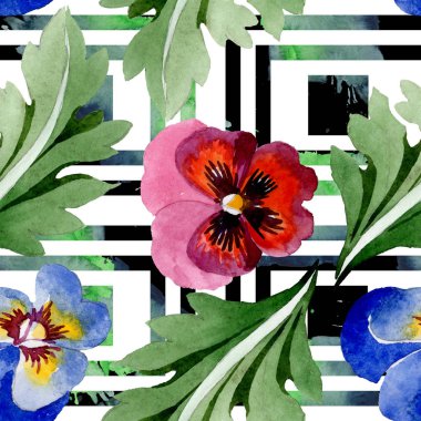 Viyola çiçek botanik çiçekleri ile süs. Suluboya arka plan illüstrasyon seti. Kesintisiz arka plan deseni.