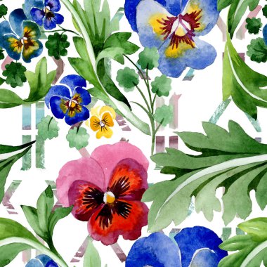 Viyola çiçek botanik çiçekleri ile süs. Suluboya arka plan illüstrasyon seti. Kesintisiz arka plan deseni.