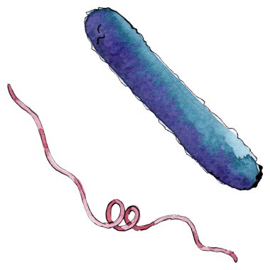 Mikrop veya mikrop el boğma illüstrasyon. Suluboya arka plan seti. İzole mikroorganizma illüstrasyon elemanı.