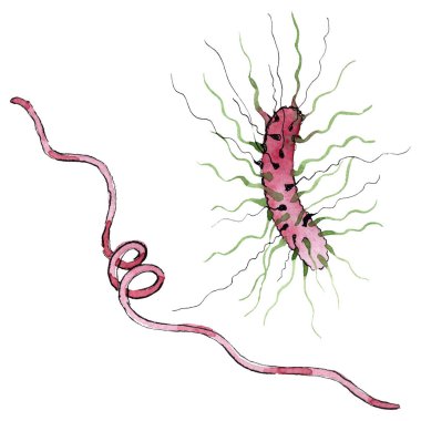 Mikrop veya mikrop el boğma illüstrasyon. Suluboya arka plan seti. İzole mikroorganizma illüstrasyon elemanı.