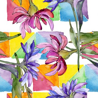 Aster çiçek botanik çiçekler. Suluboya arka plan illüstrasyon seti. Kesintisiz arka plan deseni.