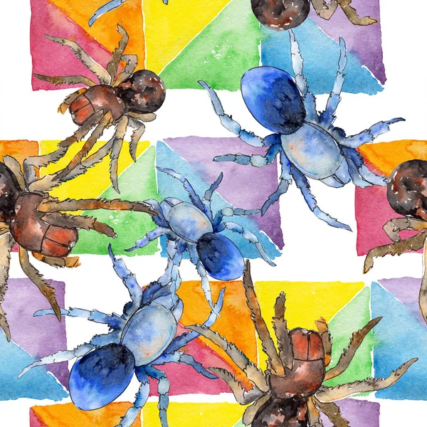 Insecte sauvage araignée tarentule exotique. Ensemble d'illustration de fond aquarelle. Modèle de fond sans couture . — Photo