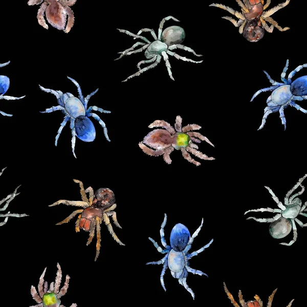 Exotic tarantula spider wild insect. Watercolor background illustration set. Seamless background pattern. — Stock Photo, Image