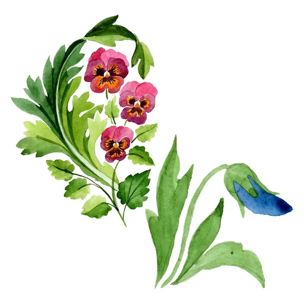 Ornament mit Viola floralen botanischen Blumen. Aquarell Hintergrund Set vorhanden. isolierte Violen Illustrationselement. — Stockfoto