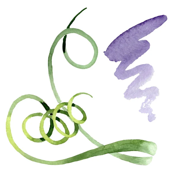 阿尔布卡卡纳登西花卉植物花。水彩背景集。隔离的阿尔布卡插图元素. — 图库照片