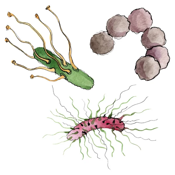 Mikrop veya mikrop el boğma illüstrasyon. Suluboya arka plan seti. İzole mikroorganizma illüstrasyon elemanı.