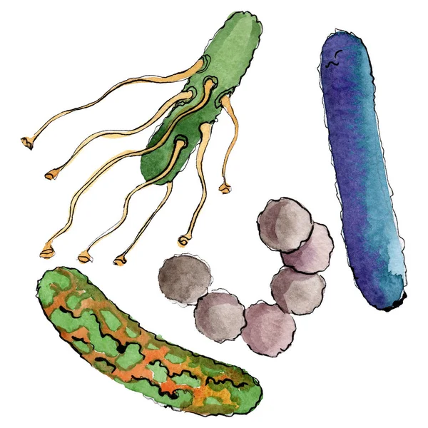 微生物或细菌手淹死插图。水彩背景集。分离微生物插图元件. — 图库照片