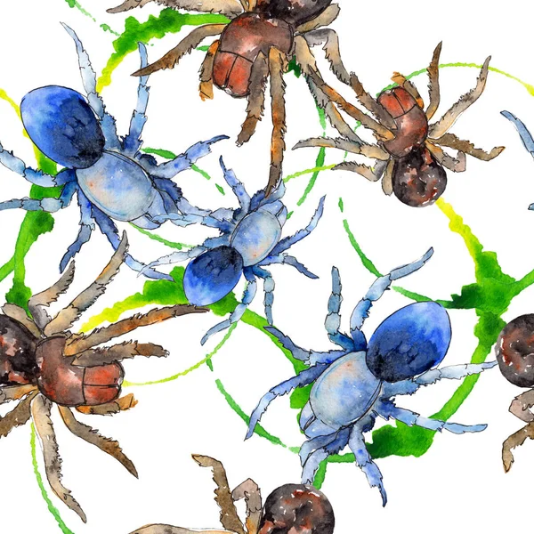 Aranha de tarântula exótica inseto selvagem. Conjunto de ilustração de fundo aquarela. Padrão de fundo sem costura . — Fotografia de Stock