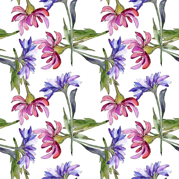 Aster floral botanical flowers. Watercolor background illustration set. Seamless background pattern. — Stock Photo, Image