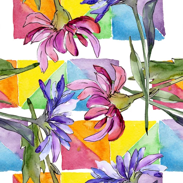 Aster çiçek botanik çiçekler. Suluboya arka plan illüstrasyon seti. Kesintisiz arka plan deseni.