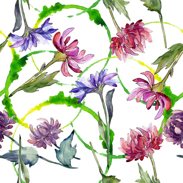 Fleurs botaniques florales d'aster. Ensemble d'illustration de fond aquarelle. Modèle de fond sans couture . — Photo