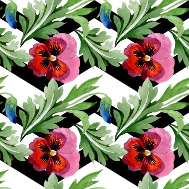 Viyola çiçek botanik çiçekleri ile süs. Suluboya arka plan illüstrasyon seti. Kesintisiz arka plan deseni.