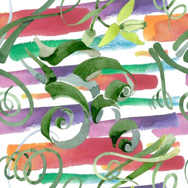 Albuca canadensis çiçek botanik çiçekler. Suluboya arka plan seti. Kesintisiz arka plan deseni.