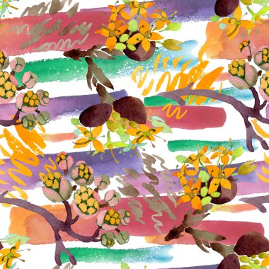 Cornus mas çiçek botanik çiçekler. Suluboya arka plan illüstrasyon seti. Kesintisiz arka plan deseni.