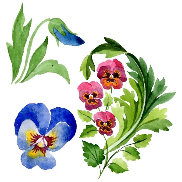 Орнамент з квітковими ботанічними квітами альти. Набір акварельних фонів. Ізольований елемент ілюстрації віолончелі . — стокове фото