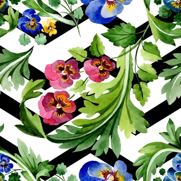 Viyola çiçek botanik çiçekleri ile süs. Suluboya arka plan illüstrasyon seti. Kesintisiz arka plan deseni.