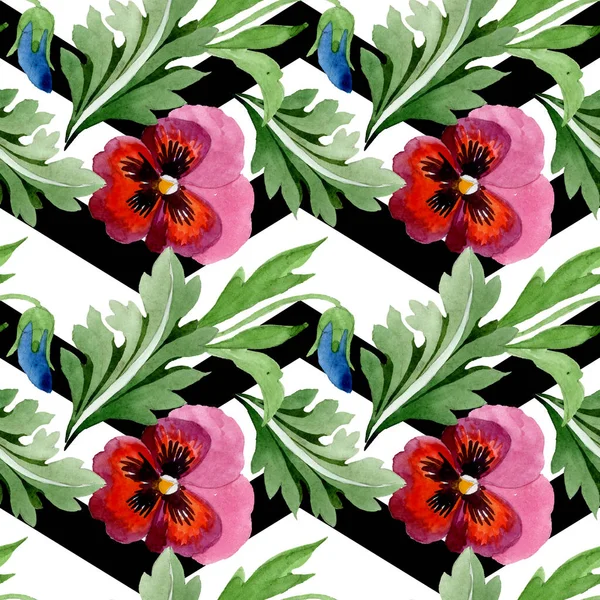 Viyola çiçek botanik çiçekleri ile süs. Suluboya arka plan illüstrasyon seti. Kesintisiz arka plan deseni.