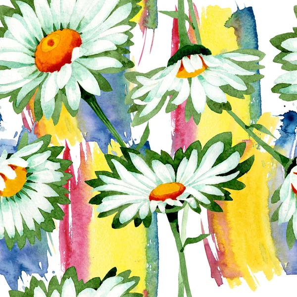 Weißes Gänseblümchen, botanische Blüten. Aquarell Hintergrundillustration Set. nahtloses Hintergrundmuster. — Stockfoto