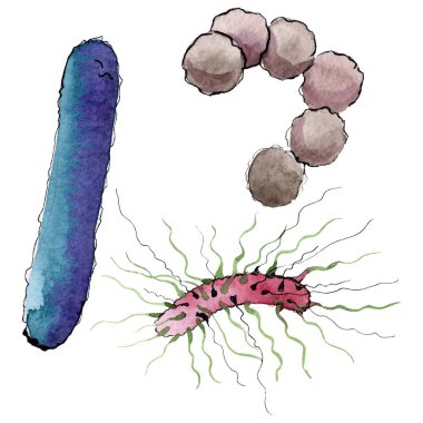 Mikrop veya mikrop el boğma illüstrasyon. Suluboya arka plan seti. İzole mikroorganizma illüstrasyon elemanı.