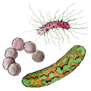 Mikrop veya mikrop el boğma illüstrasyon. Suluboya arka plan seti. İzole mikroorganizma illüstrasyon elemanı.