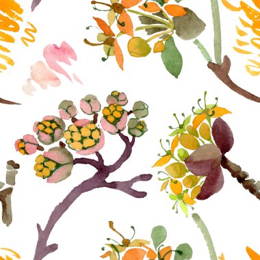 Cornus mas çiçek botanik çiçekler. Suluboya arka plan illüstrasyon seti. Kesintisiz arka plan deseni.