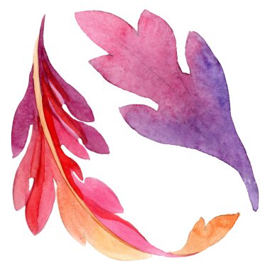 Pansies botanik çiçekleri ile süs. Suluboya arka plan illüstrasyon seti. Yalıtılmış viyola illüstrasyon öğesi.