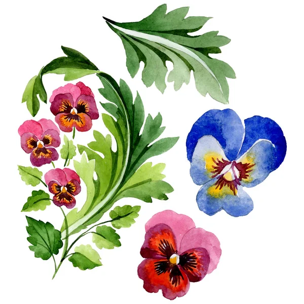 Prydnad med Viola blommiga botaniska blommor. Akvarell bakgrund set. Isolerad Viola illustration element. — Stockfoto