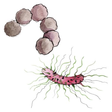 Mikrop veya mikrop el boğma illüstrasyon. Suluboya arka plan seti. İzole mikroorganizma illüstrasyon elemanı.