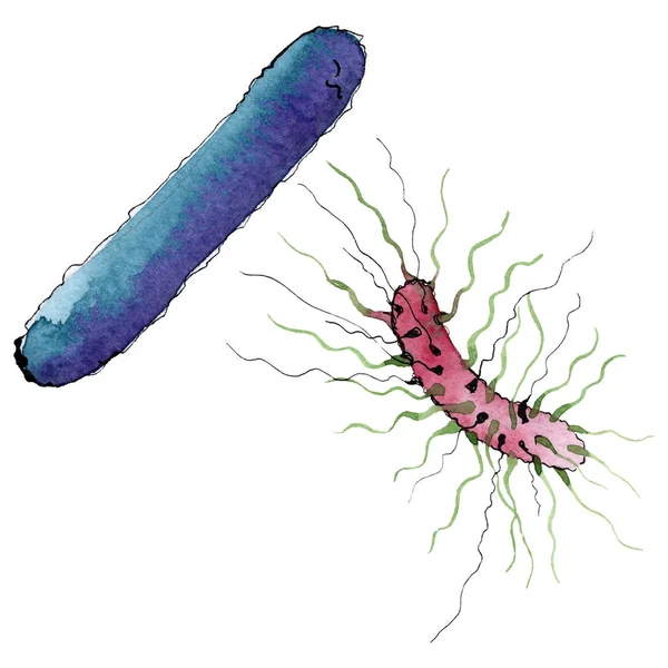 Microbe of kiem hand verdrinken illustratie. Aquarel achtergrond set. Geïsoleerd micro-organisme illustratie element. — Stockfoto