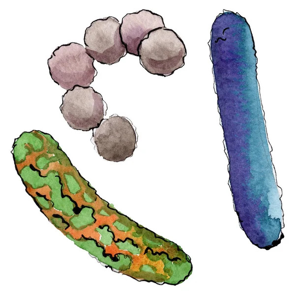 Microbe of kiem hand verdrinken illustratie. Aquarel achtergrond set. Geïsoleerd micro-organisme illustratie element. — Stockfoto