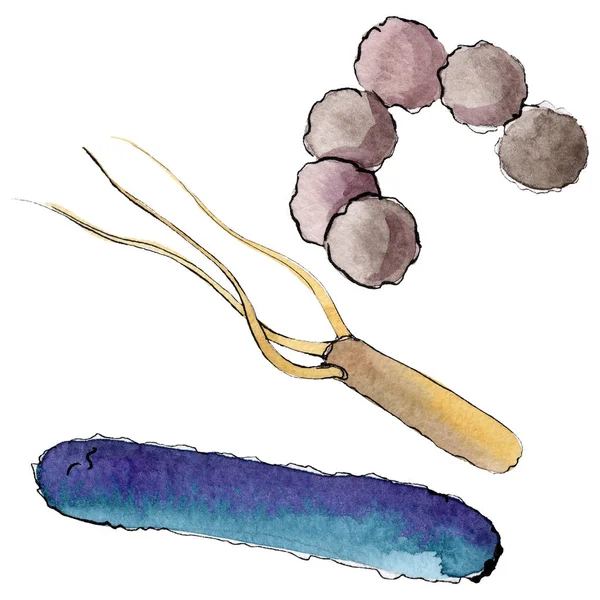 Ilustracja mikroby lub zarodków ręcznie. Zestaw tła akwarelowego. Element ilustracji mikroorganizmu na białym tle. — Zdjęcie stockowe